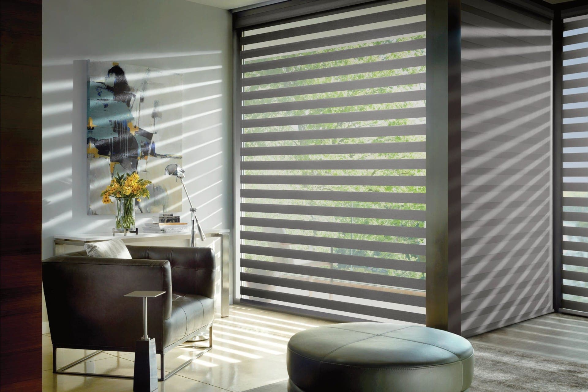 Banded, Silhouette & Pirouette Shades - Image 5