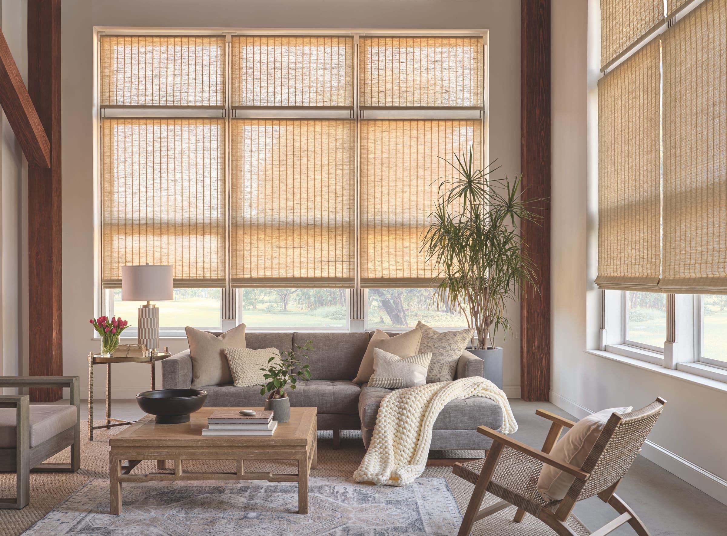 Roman & Woven Wood Shades - Image 3