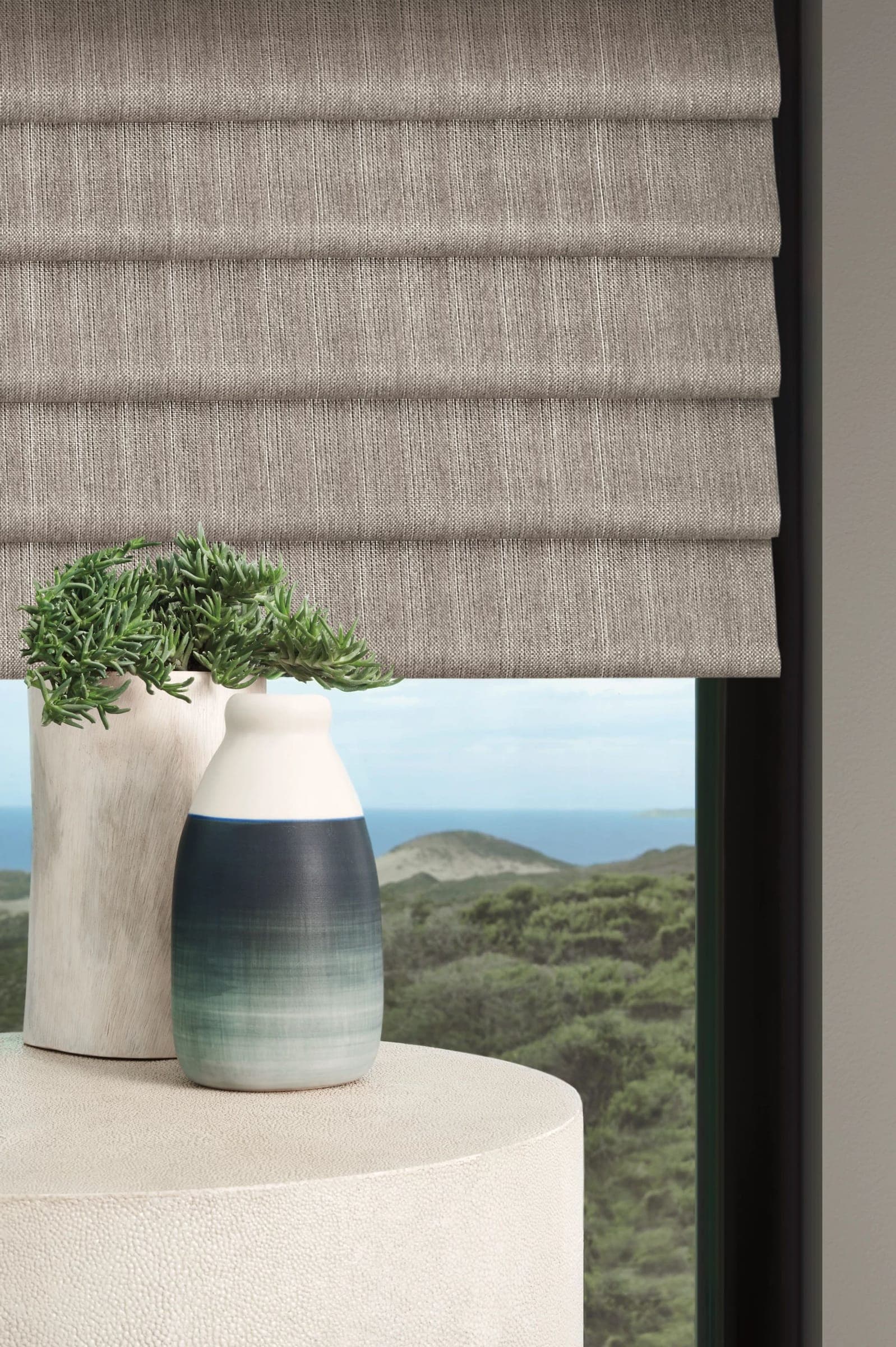 Roman & Woven Wood Shades - Image 1