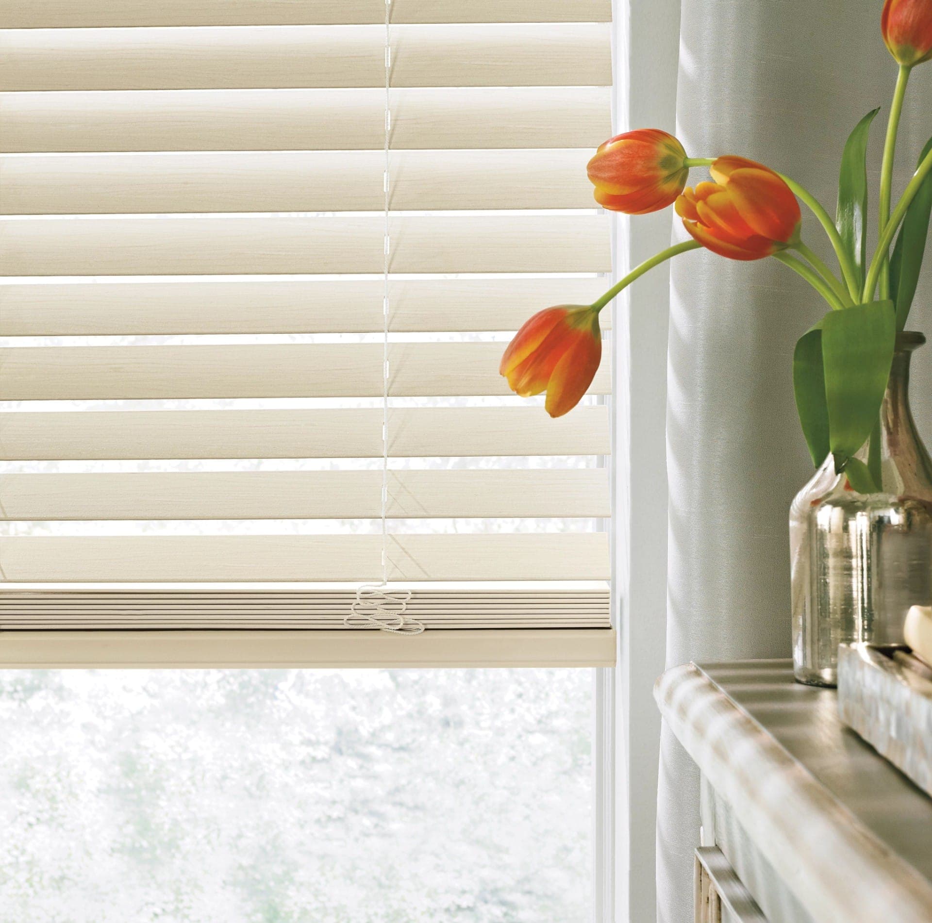Shutters & Blinds - Image 3